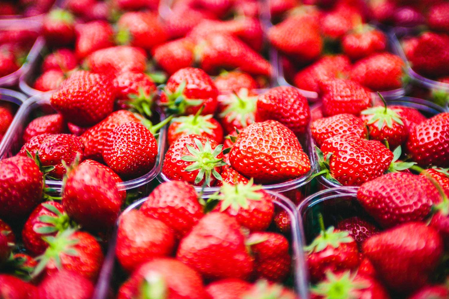 Are Strawberries Good For Dogs? Can Dogs Eat Bananas