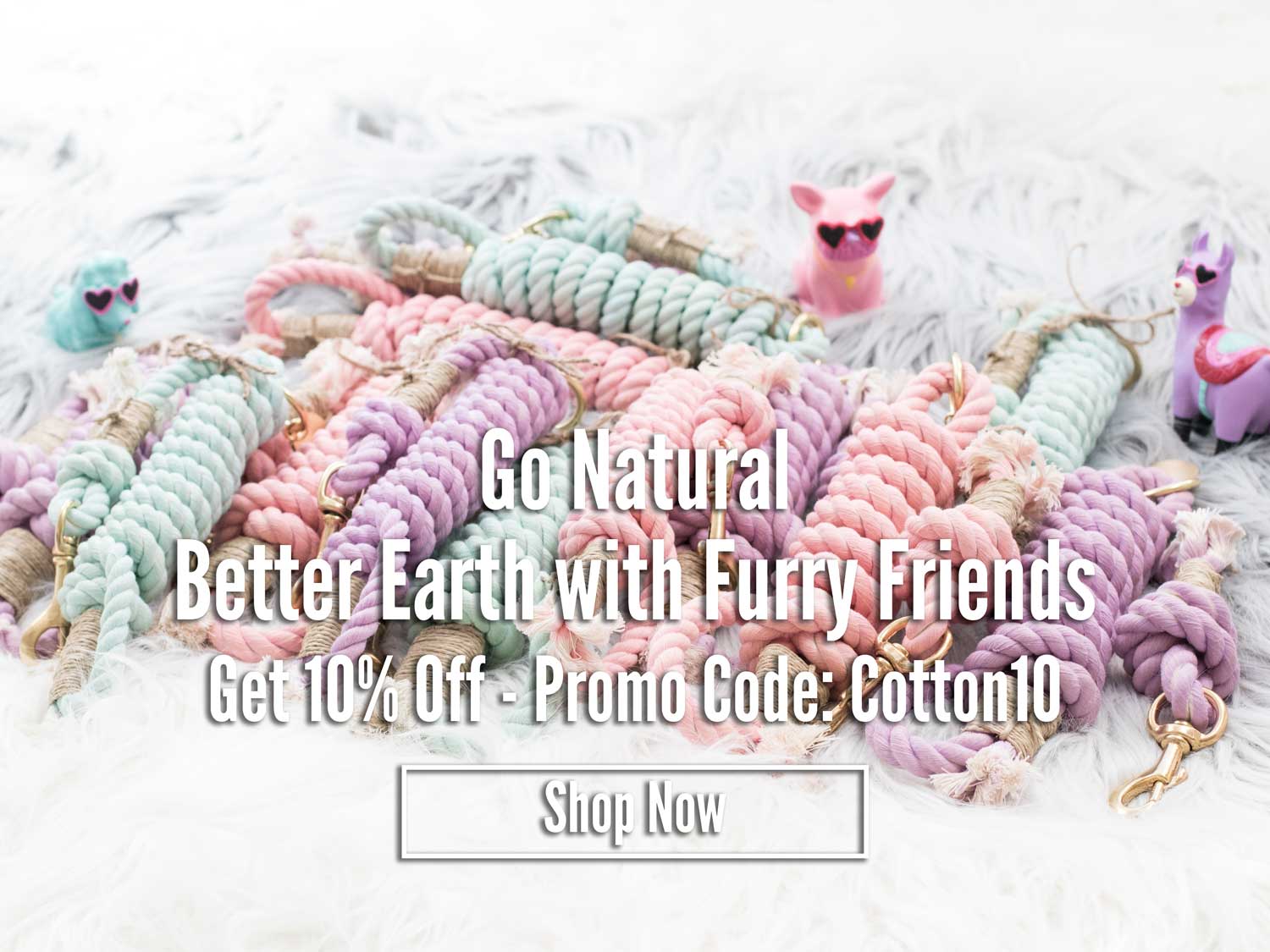 sleepy cotton dog leash