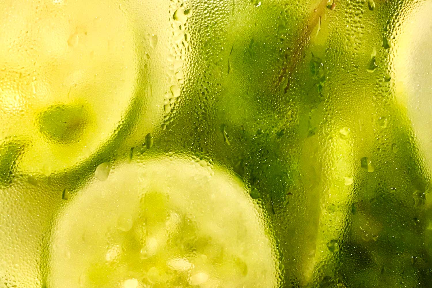 Is Cucumber Good for Dogs? Green Snacking Can Dogs Eat Bananas